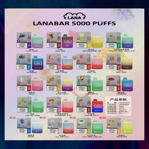 【買十送一】LANA 5000口 拋棄式電子煙