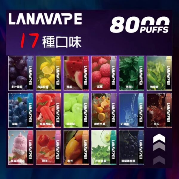 【買十送一】LANA 8000口 拋棄式電子煙