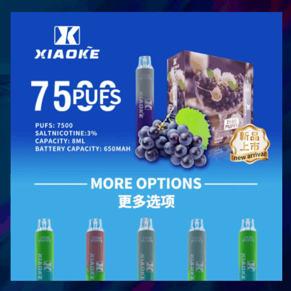 【買十送一】梟客7500口 拋棄式電子煙